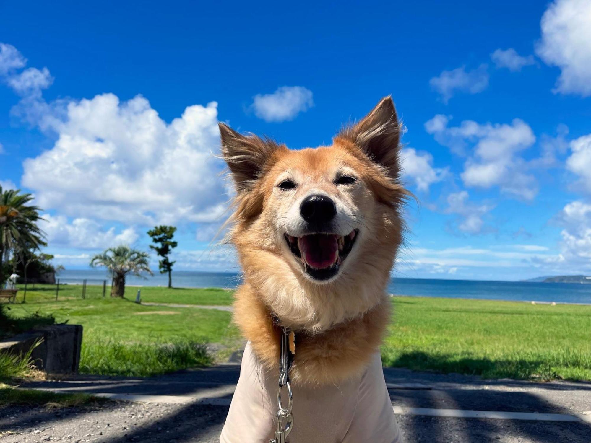Japari Tateyama - Vacation Stay 84008V Zewnętrze zdjęcie