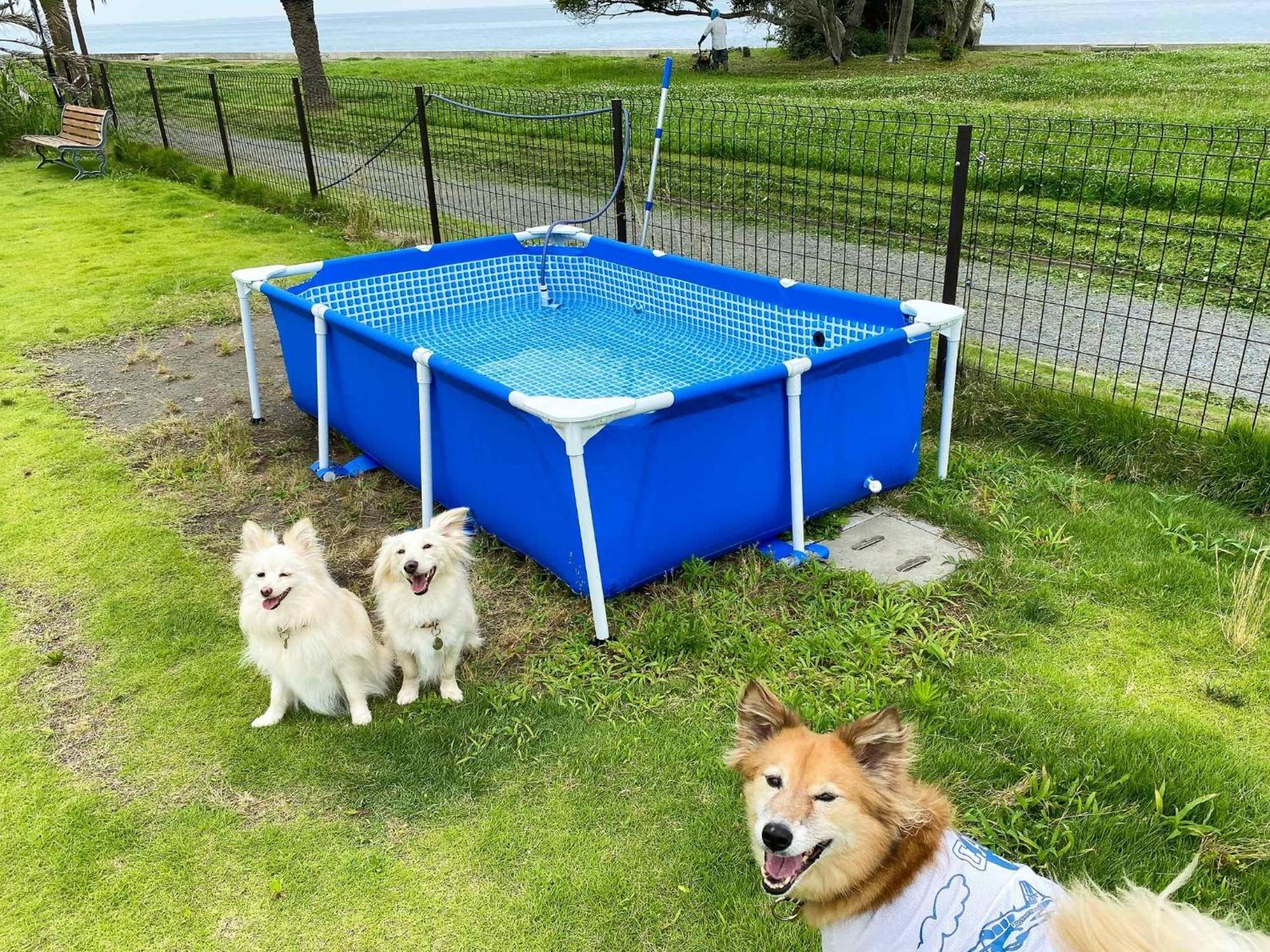 Japari Tateyama - Vacation Stay 84008V Zewnętrze zdjęcie