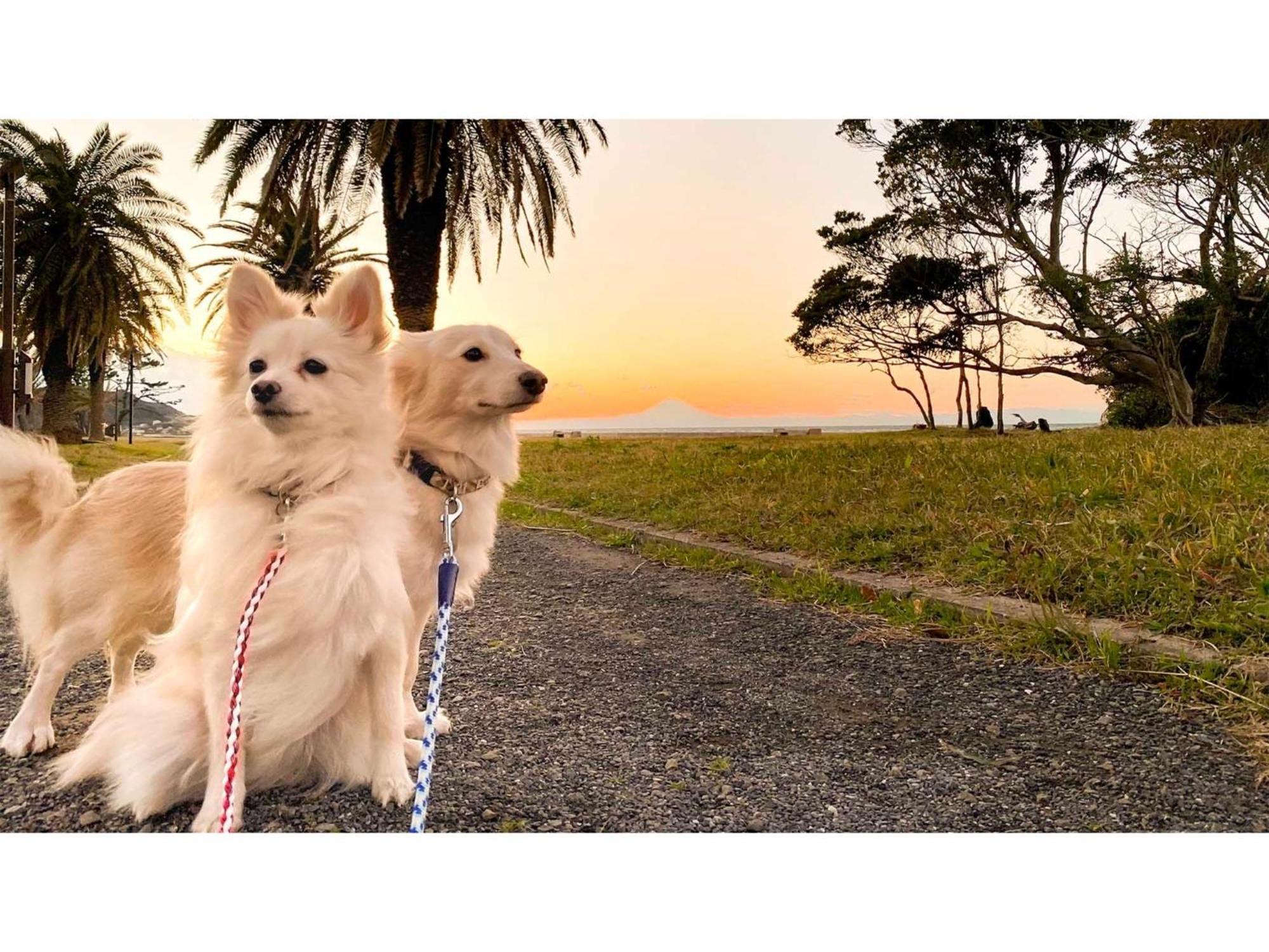 Japari Tateyama - Vacation Stay 84008V Zewnętrze zdjęcie